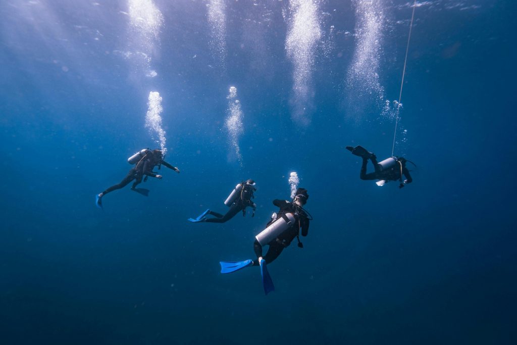 scuba divers under water