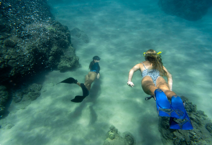 Socorro Island, Revillagigedo, Mexico
