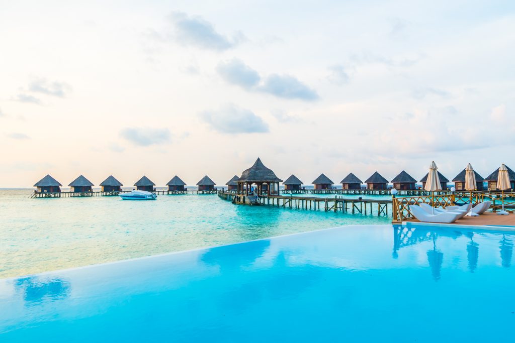 Diving in Egypt vs. the Maldives: A Destination Comparison for Liveaboard Enthusiasts