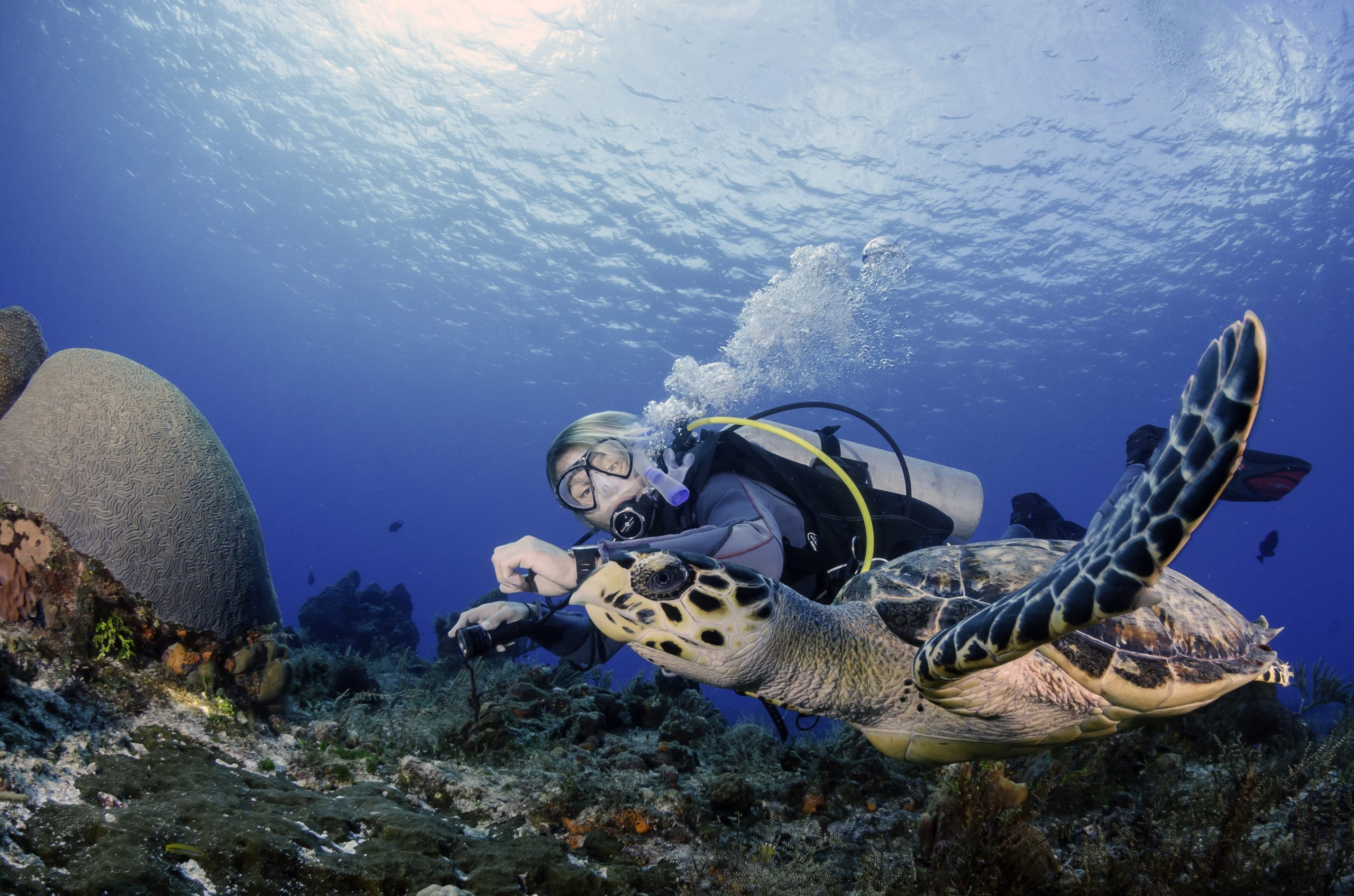Phocea Cozumel dive center and boats