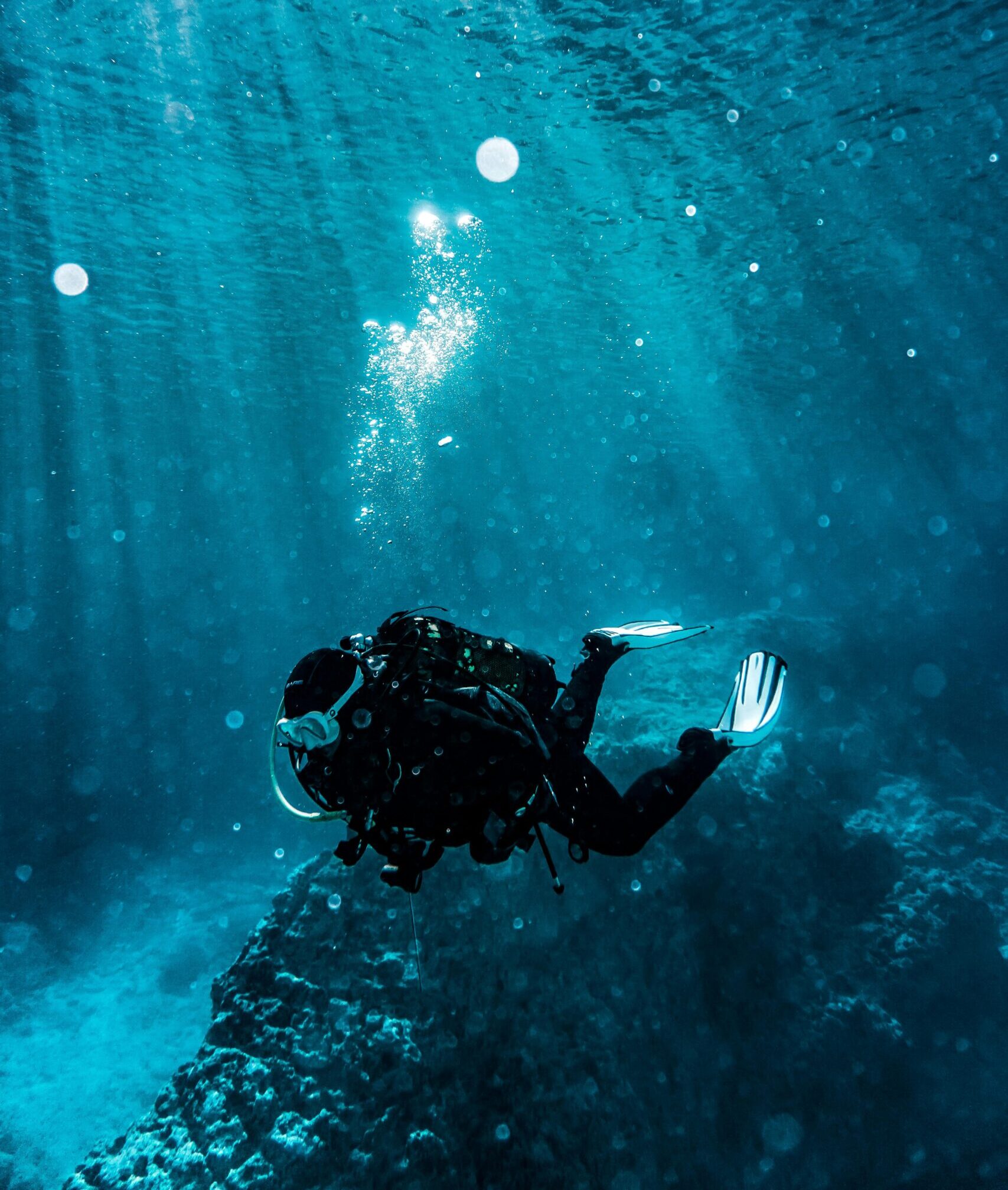 Diver in full gear positioned calmly near a tiger shark