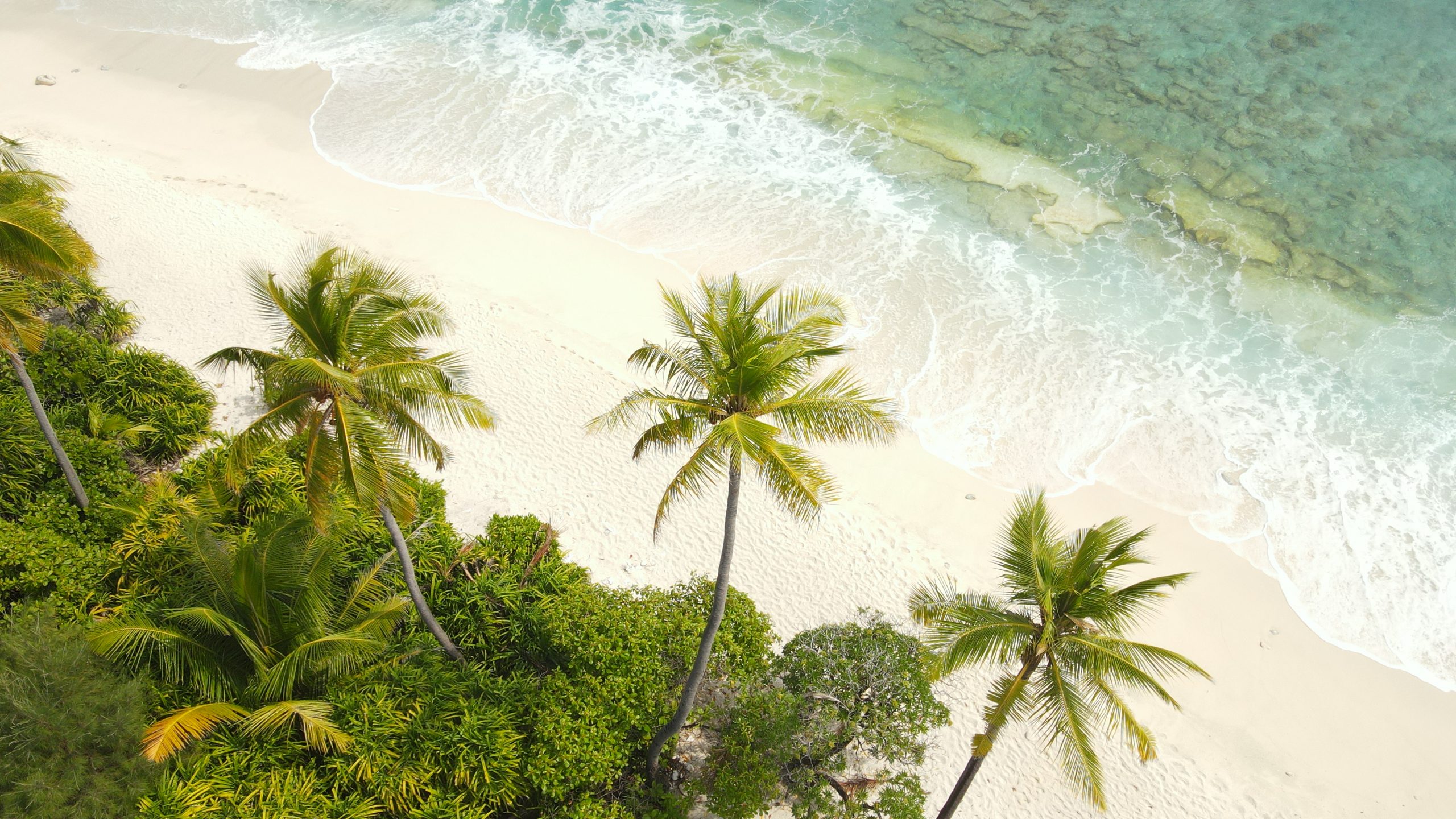Fuvahmulah Sharks Island resort