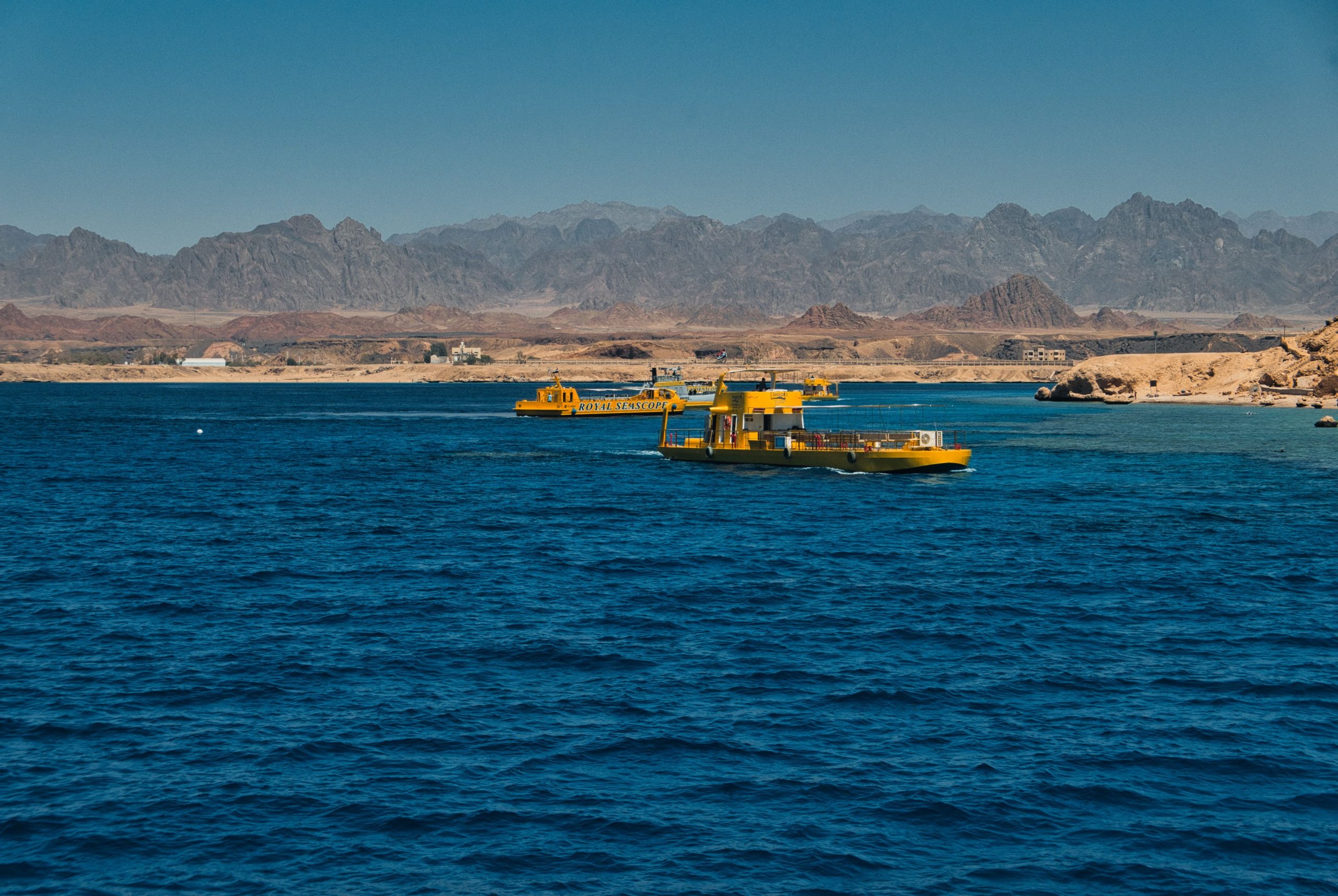 Coral wall and reef fish at Ras Mohammed National Park, northern Red Sea
