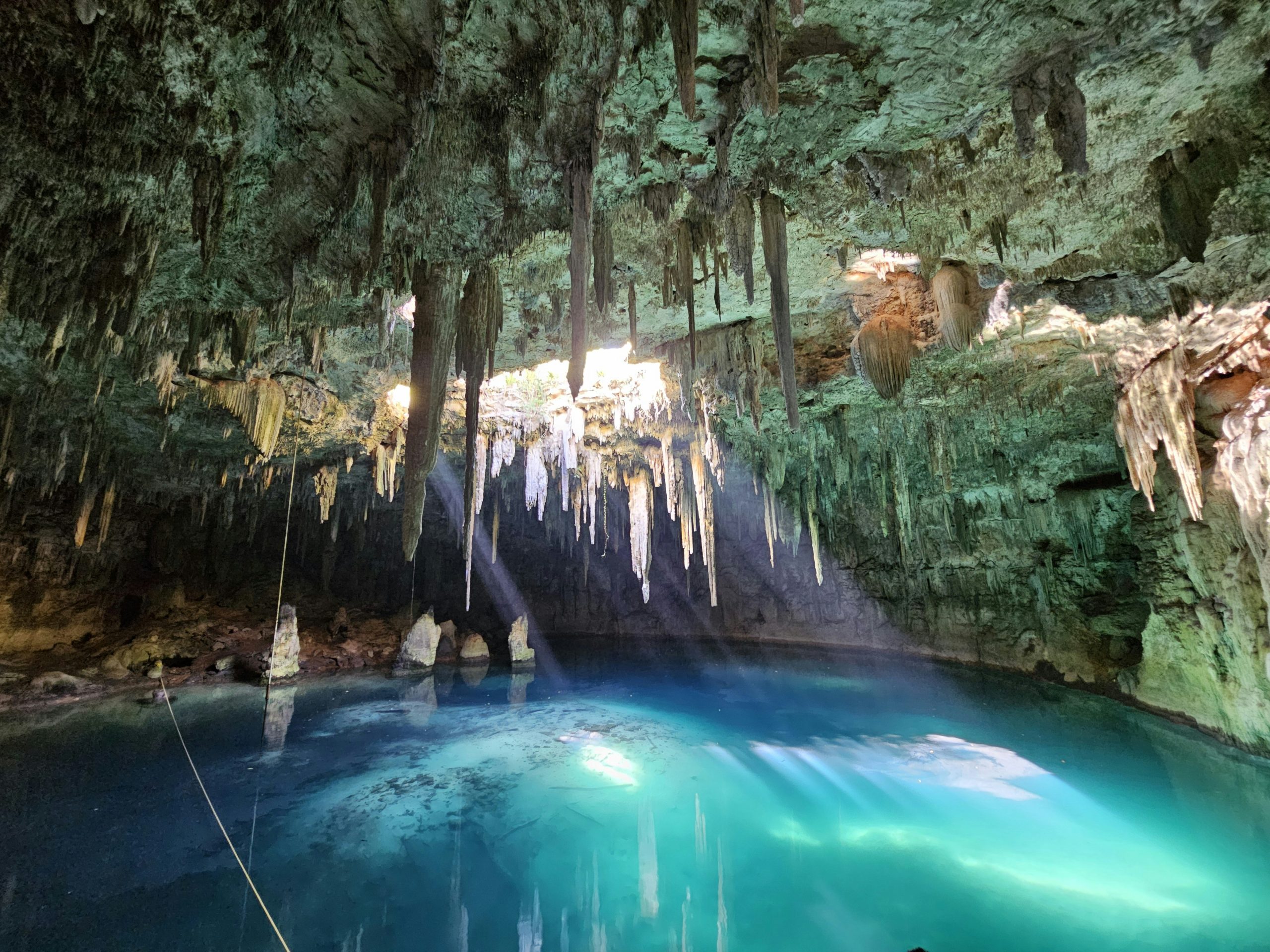 Freshwater cenote in the Yucatán jungle near Tulum