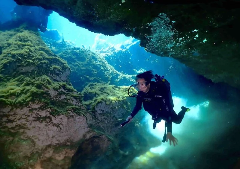 Caribbean reef off Tulum