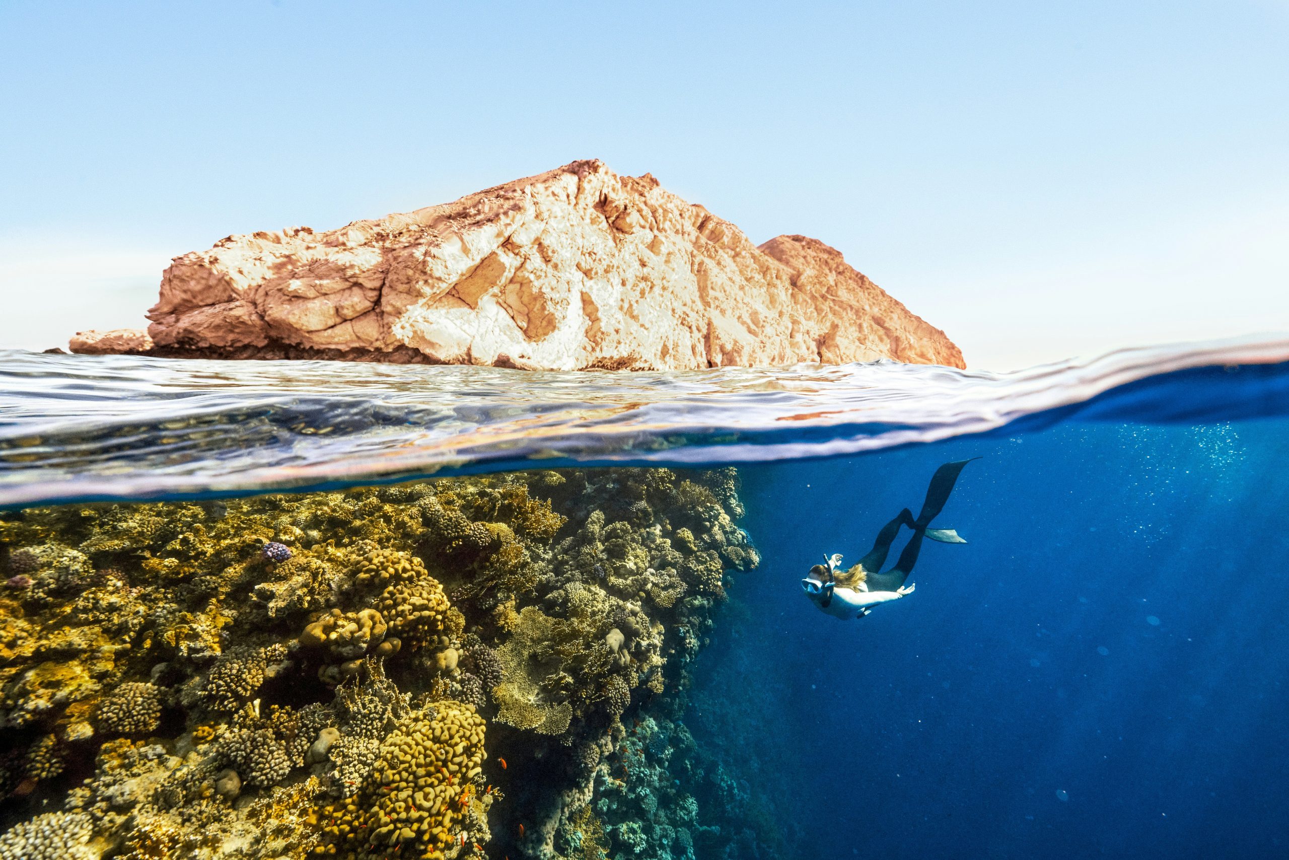 Diver over reef and wreck, Saudi Red Sea