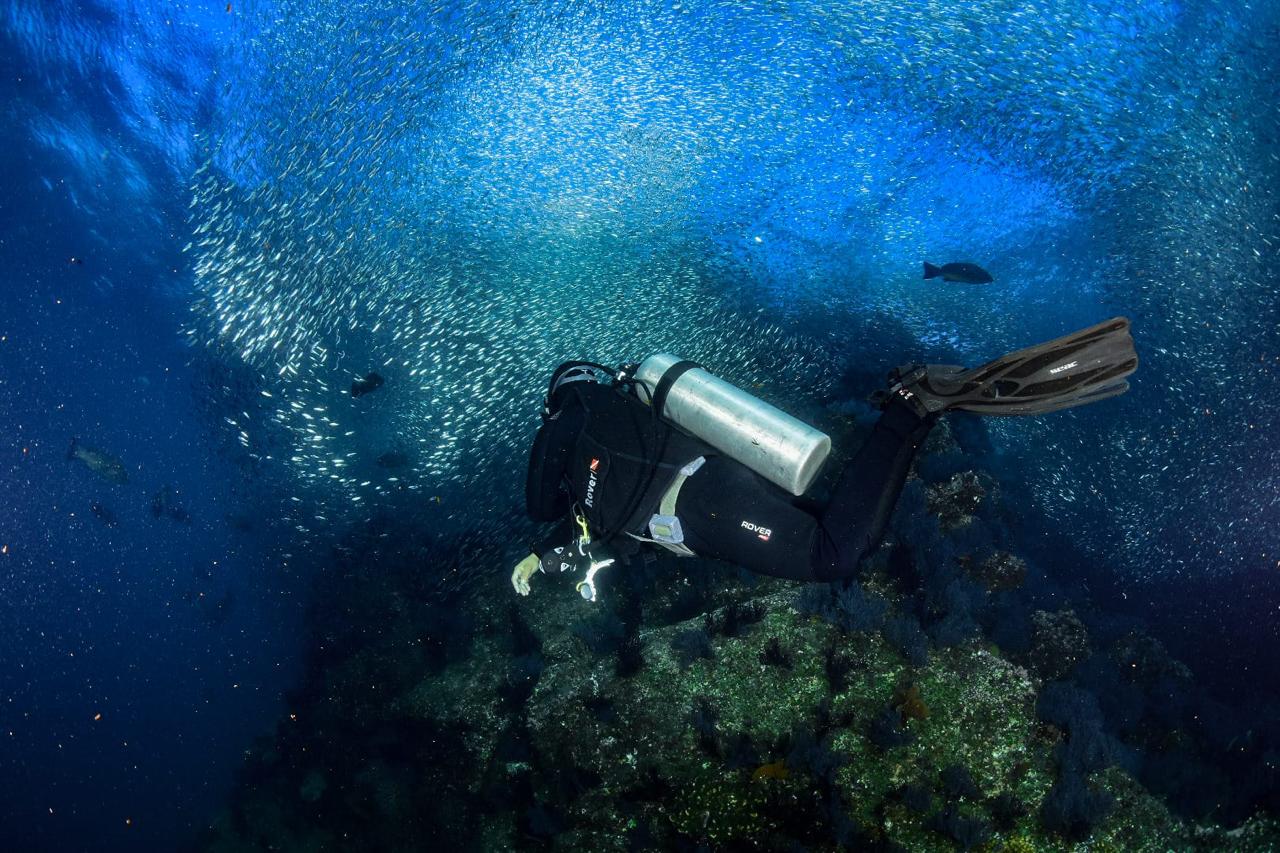Diver in Cabo Pulmo National Marine Park