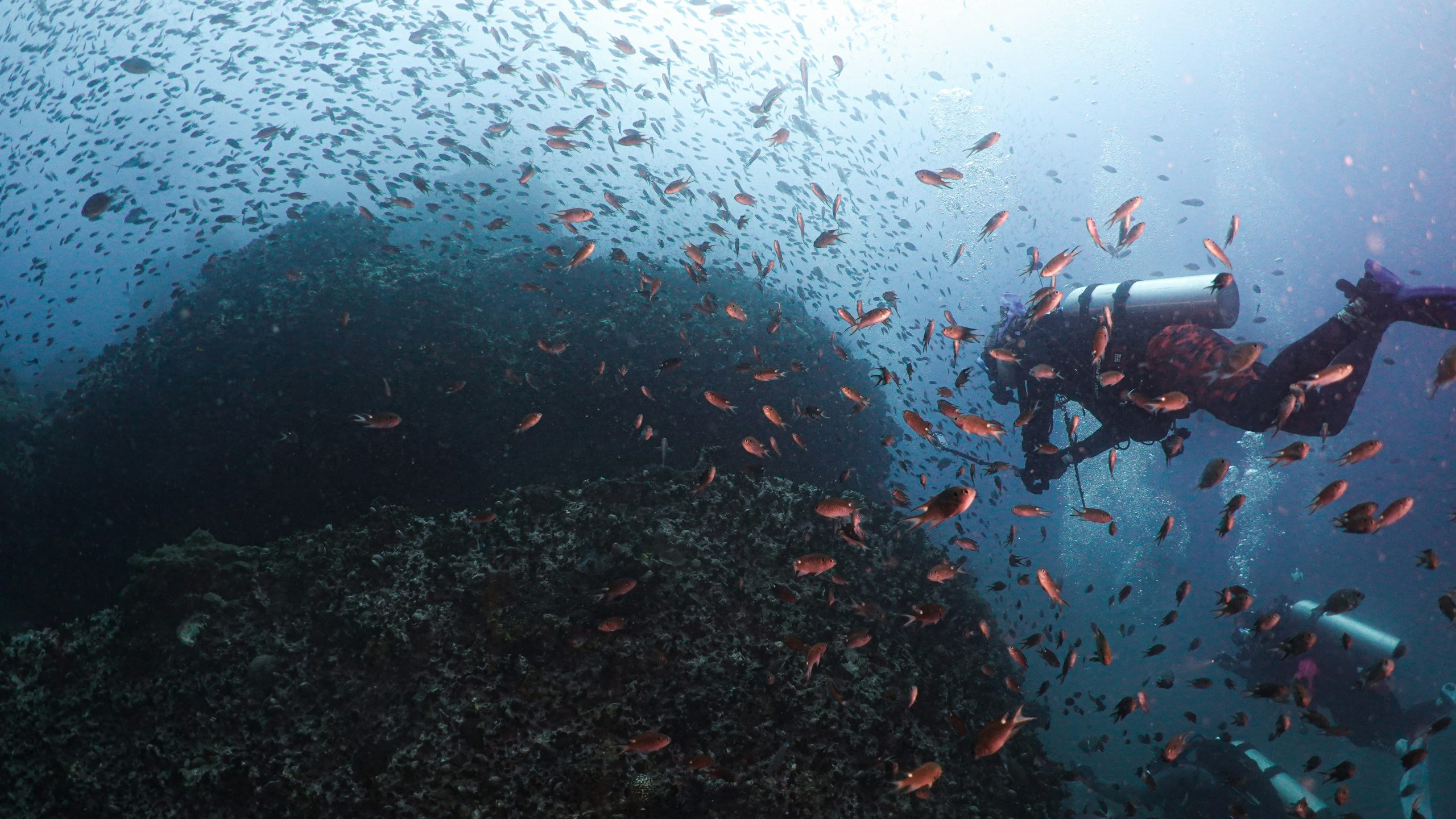 Diver underwater in Thailand