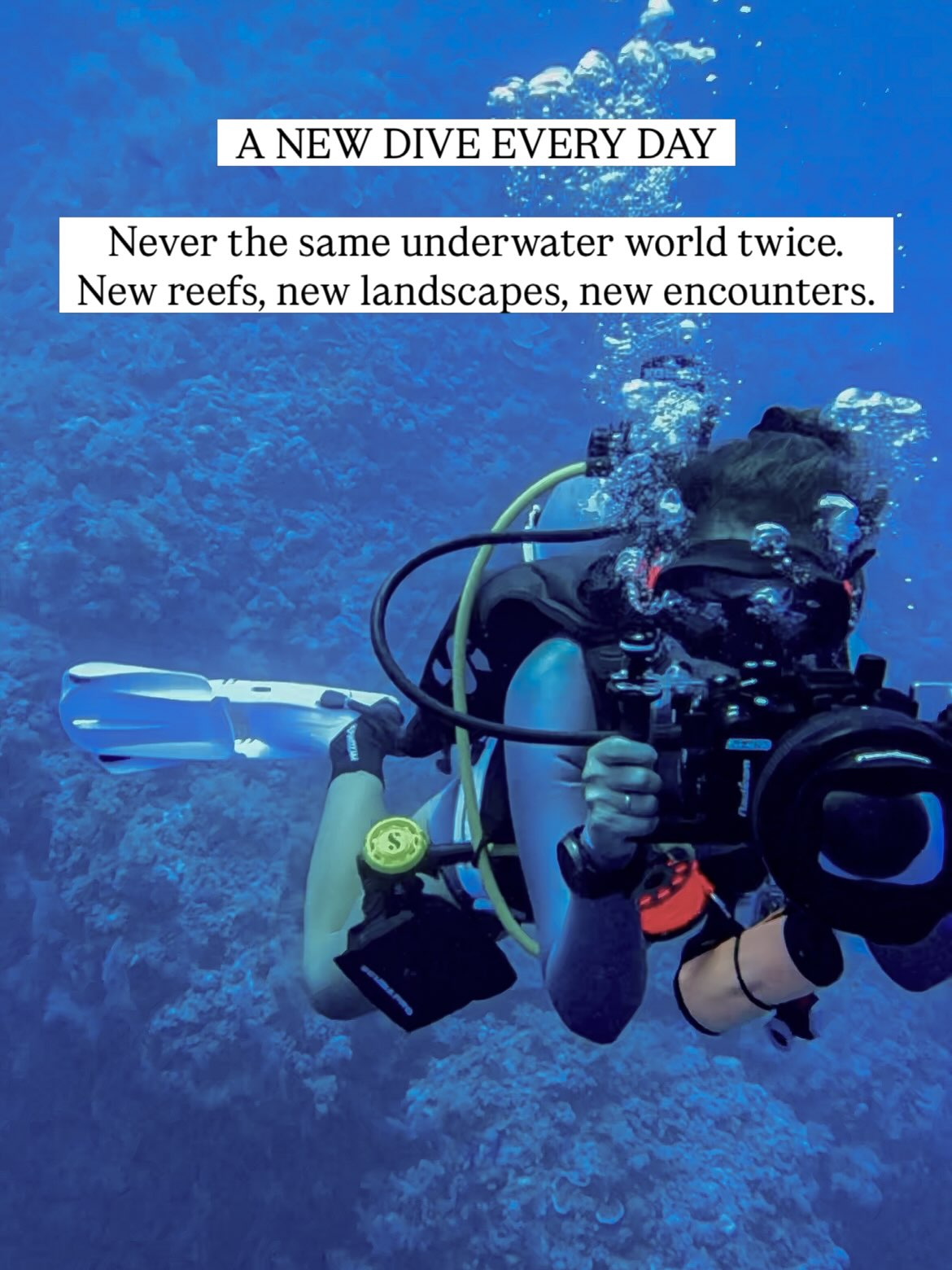 Diver with an underwater camera rig swimming along a Red Sea reef