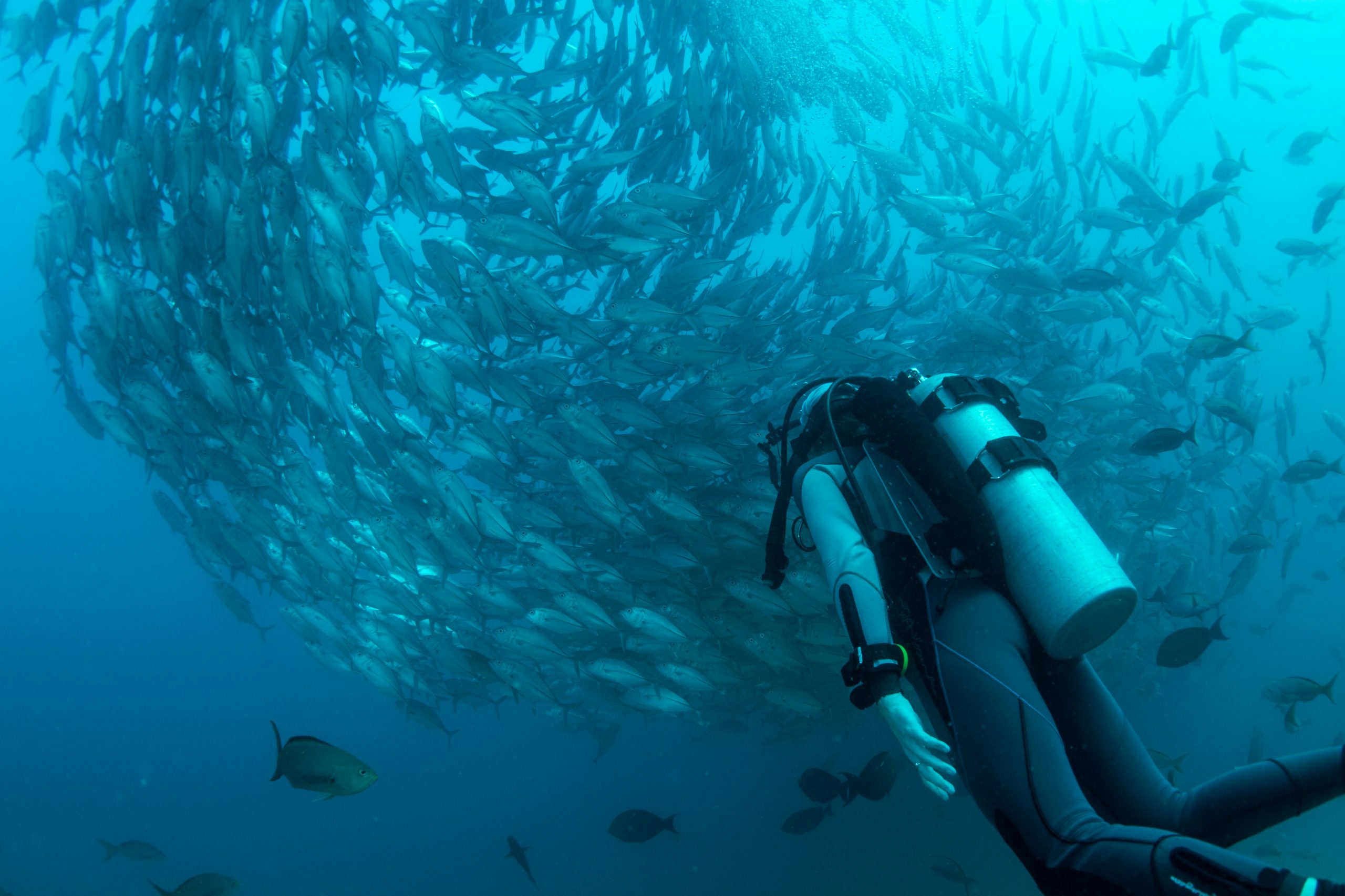 Diver in open water, Mexican Pacific