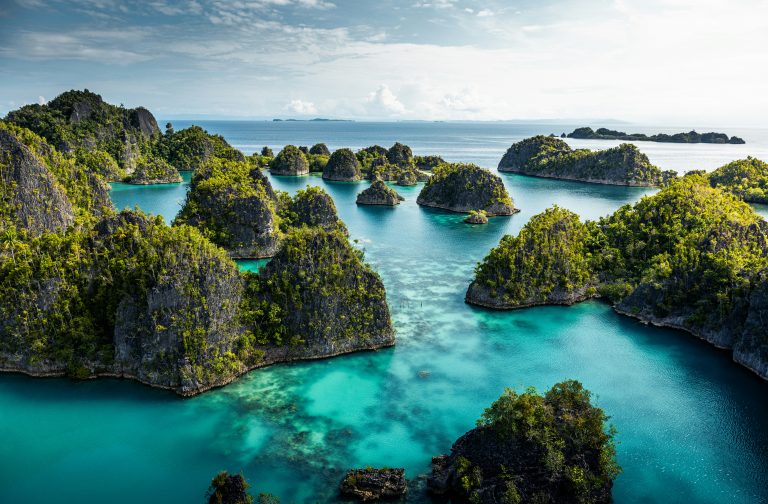 Raja Ampat vs Komodo: Which Indonesia Trip Should You Dive First?