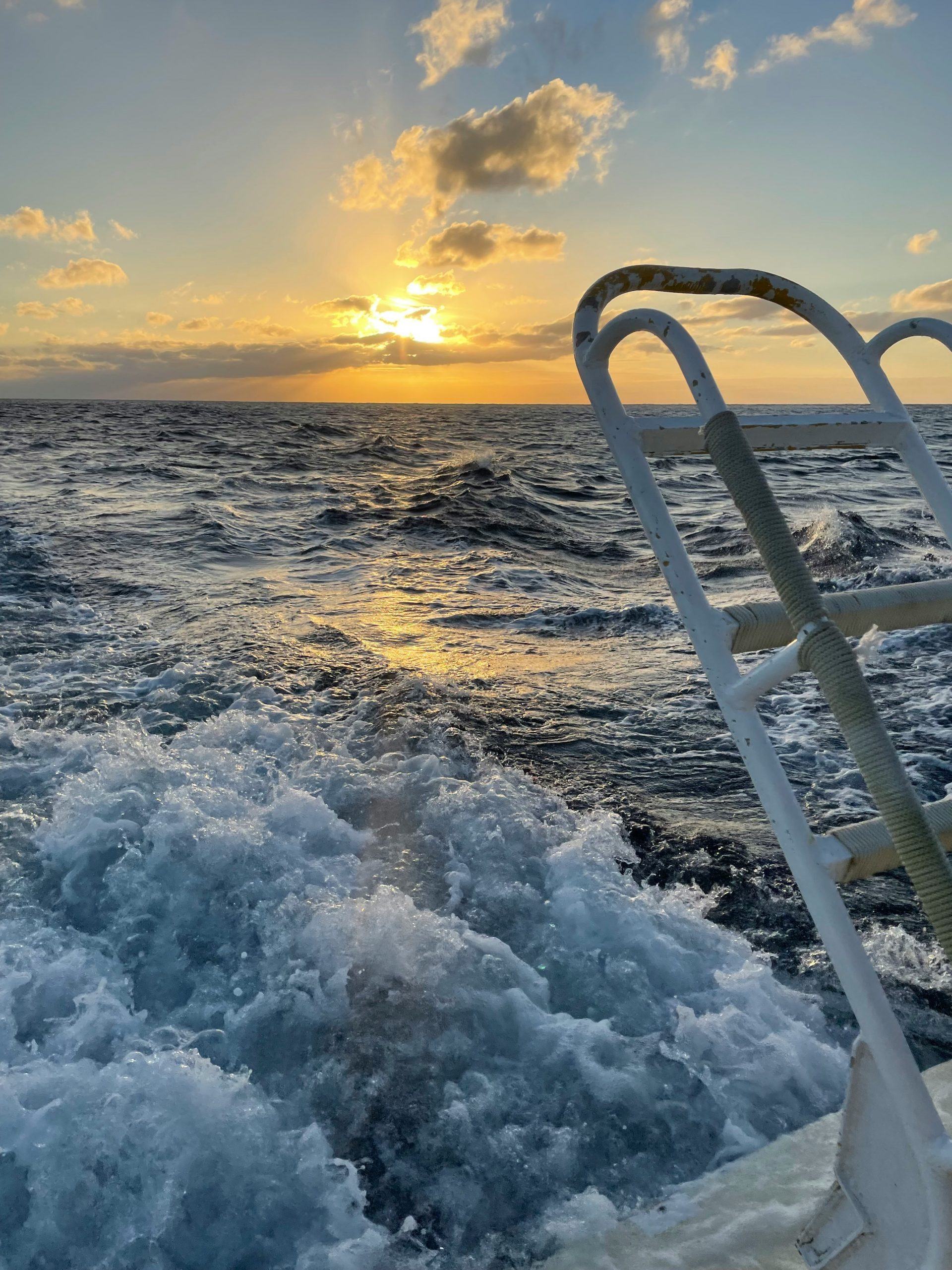 Open Pacific swell during the crossing to Revillagigedo
