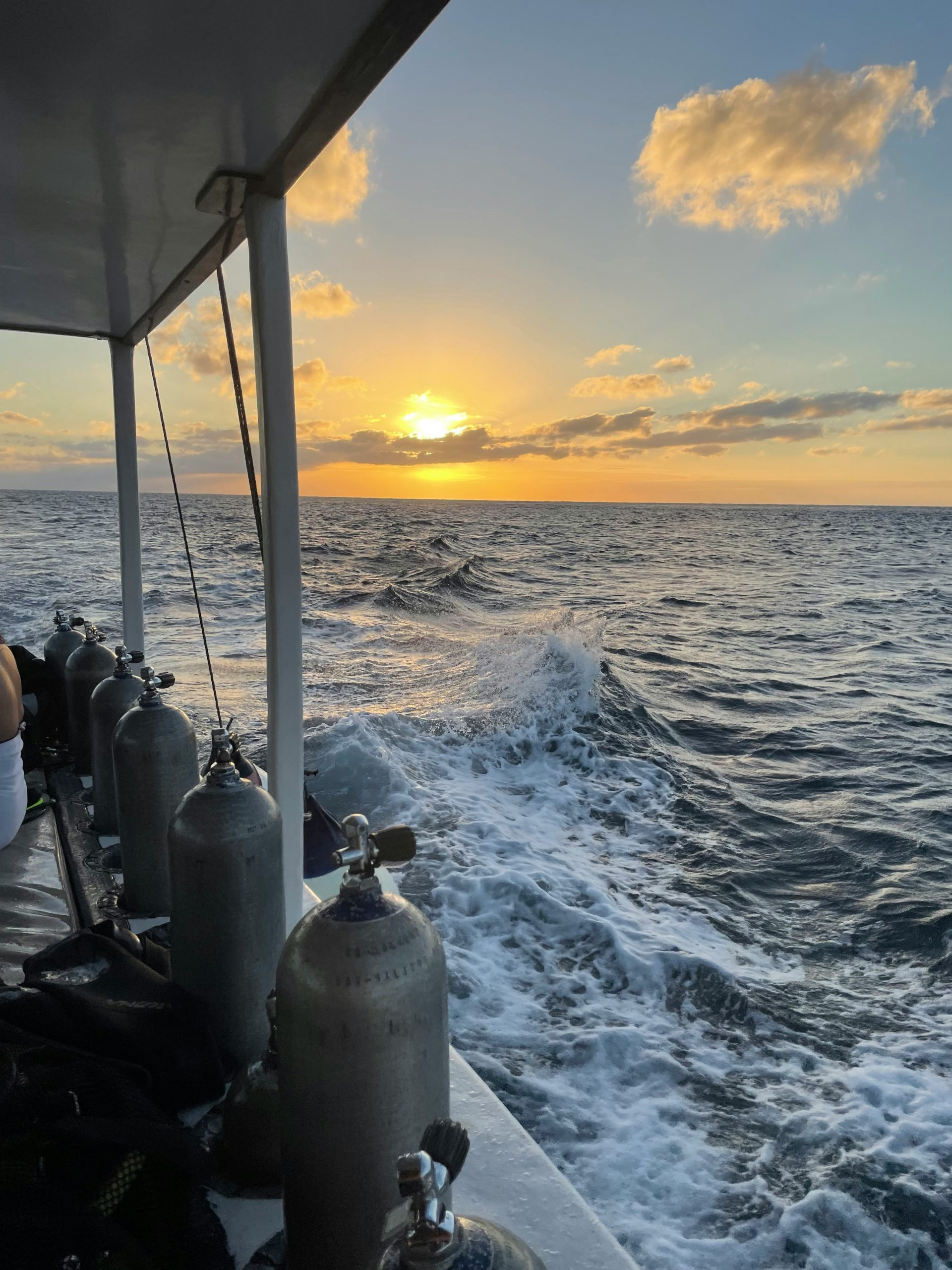 Downtime on deck between dives