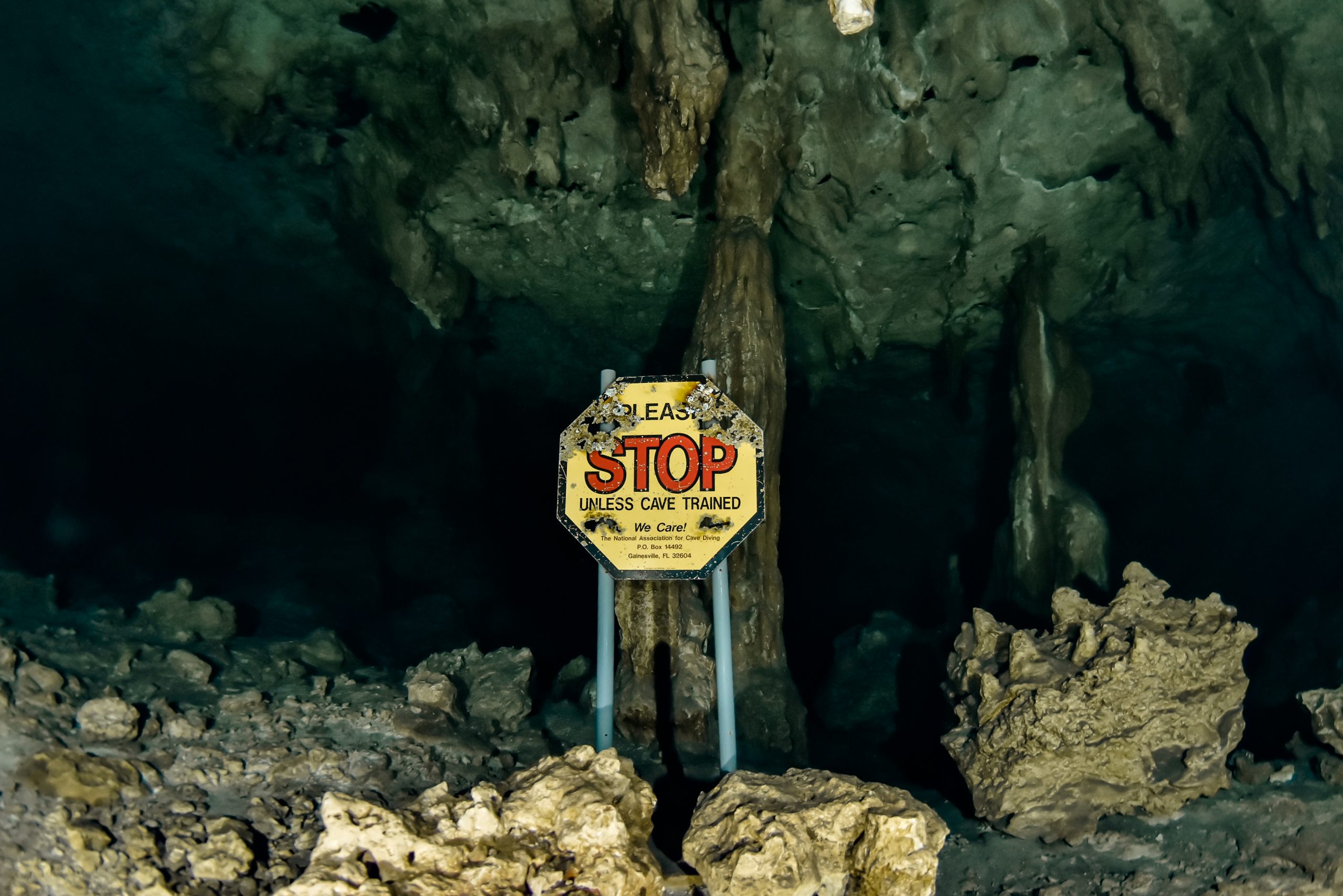 Light beams through a cenote cave entrance near Tulum