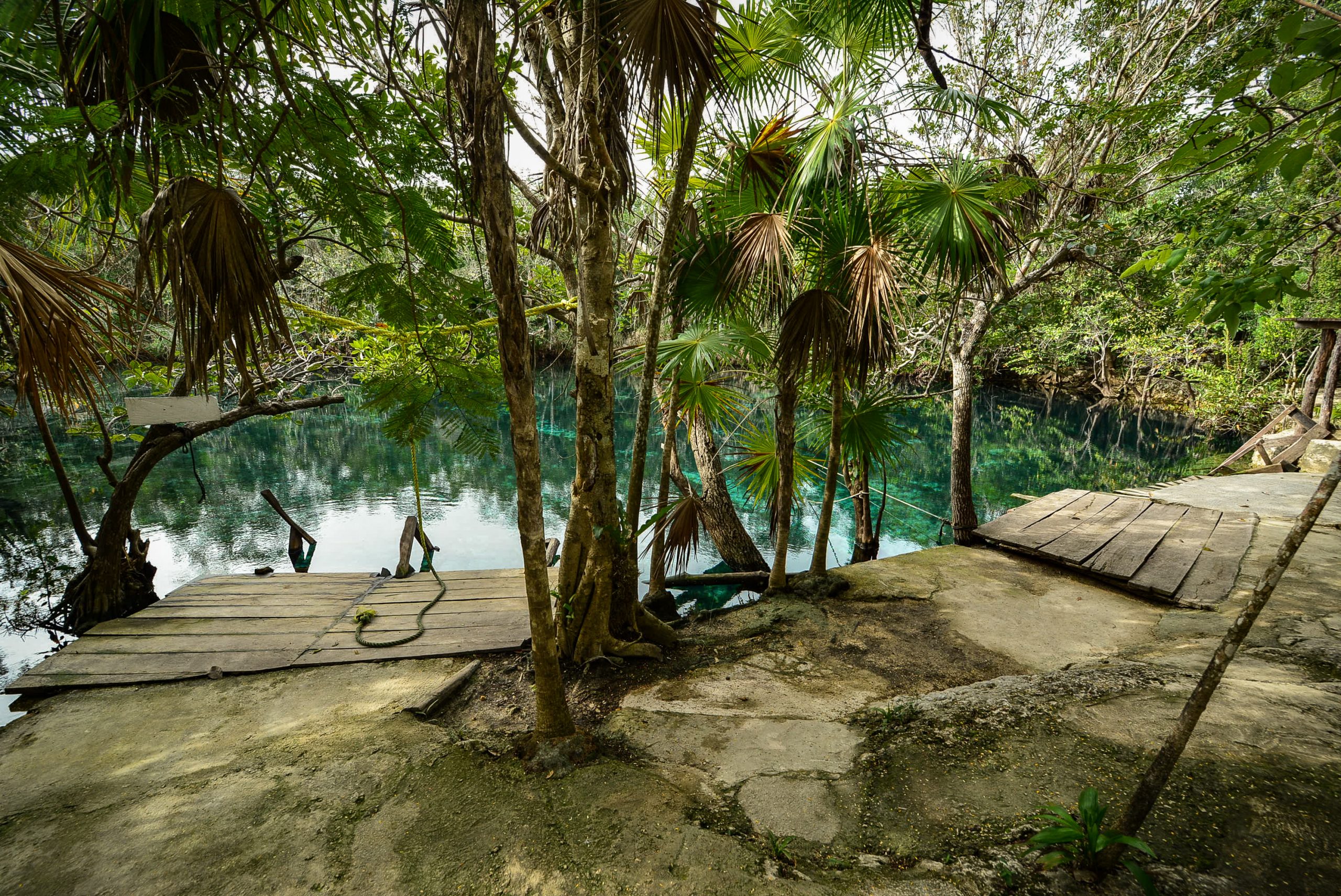 View across a jungle cenote from the wooden dock