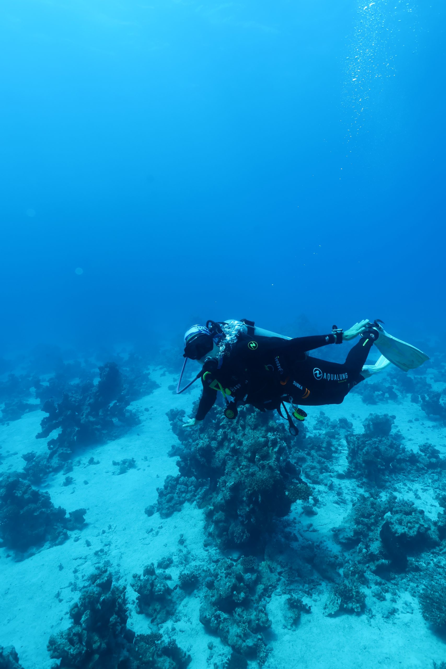 Scuba diver over a Red Sea coral reef, Egypt