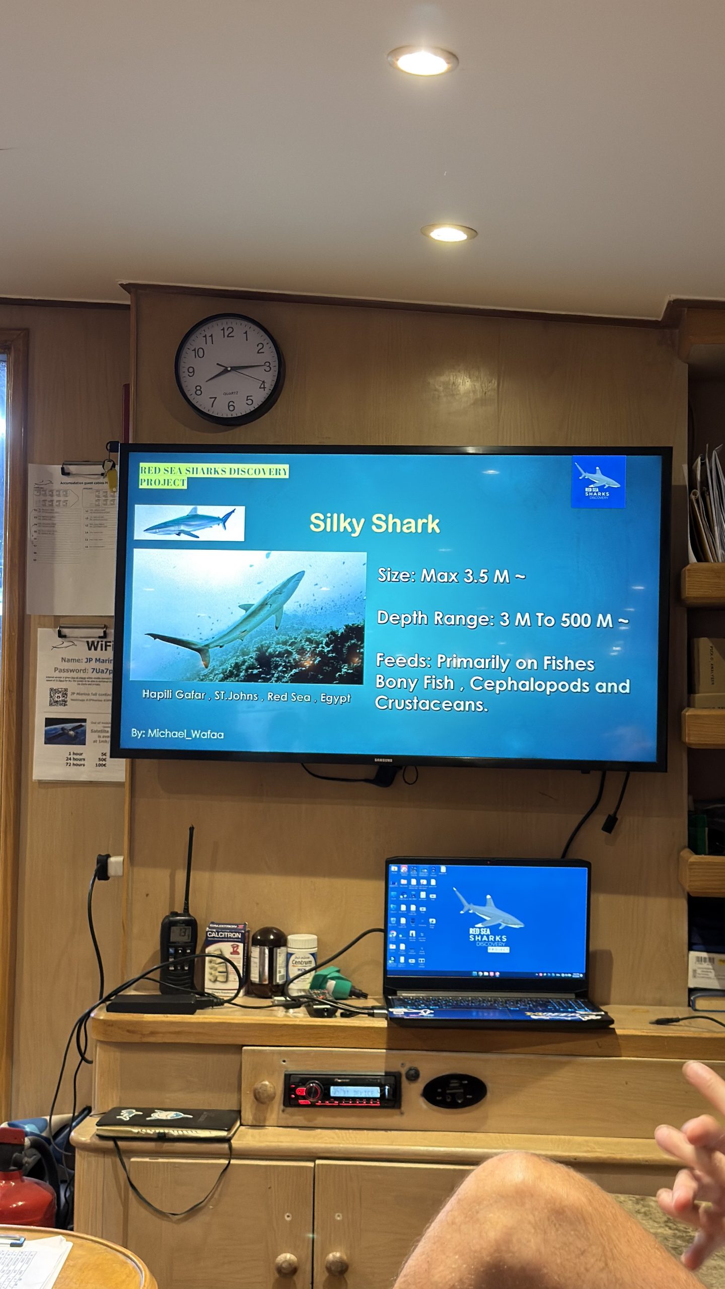 Silky shark dive briefing aboard a Red Sea liveaboard, Egypt