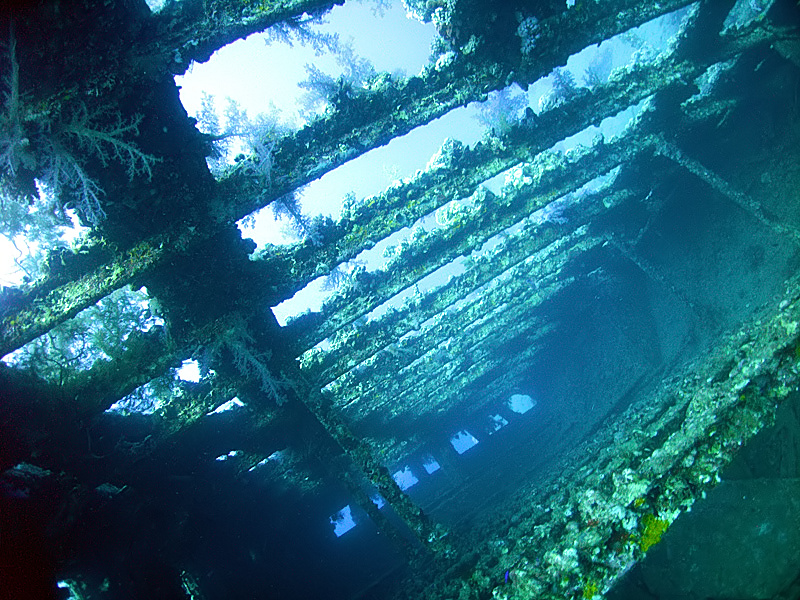 Wreck at Abu Nuhas reef, northern Red Sea, Egypt