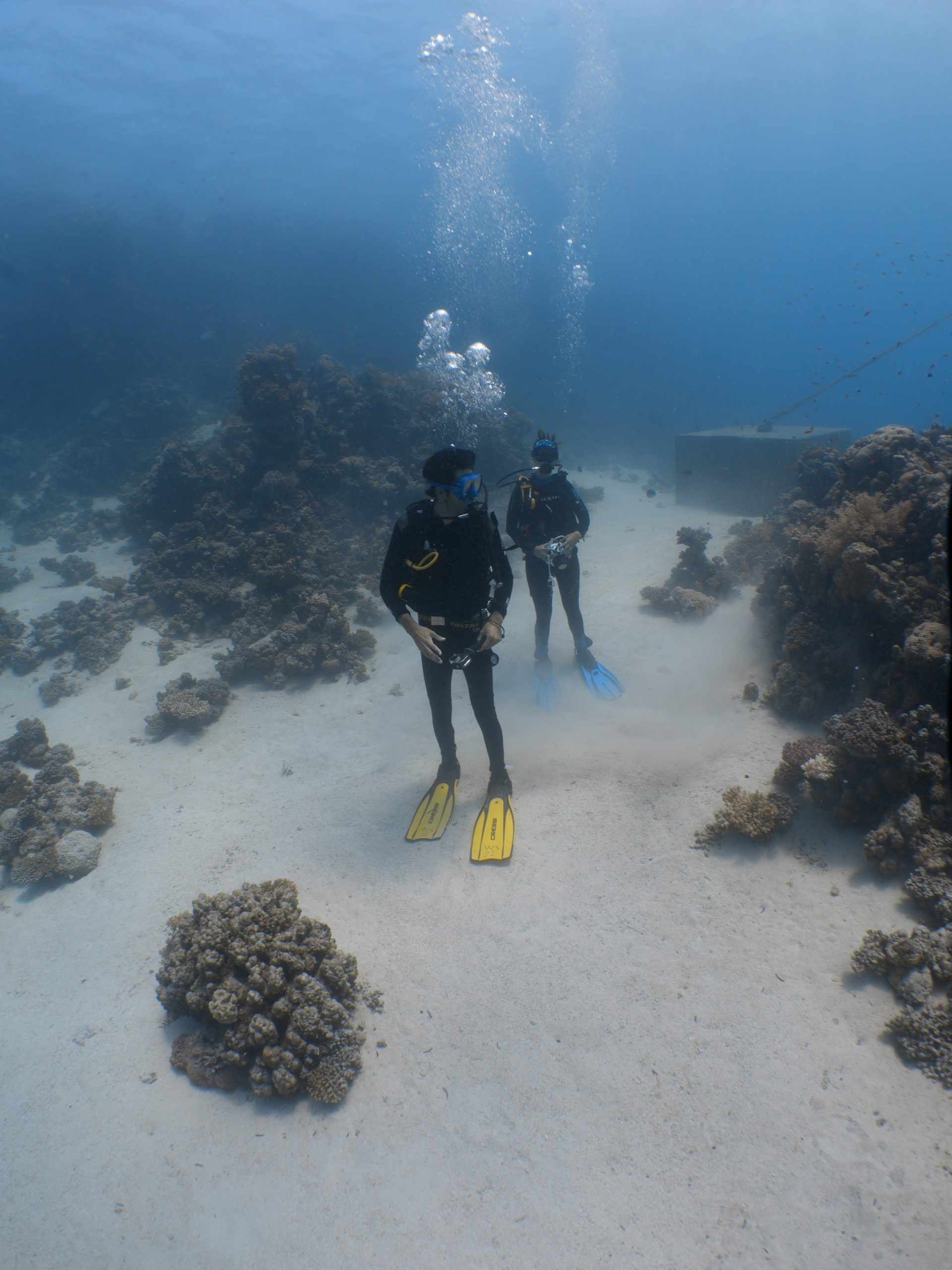 Two divers on a sandy seabed beside a coral reef, Red Sea, Egypt